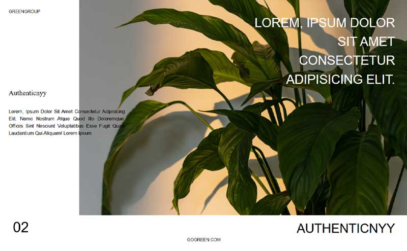 Website design showcasing modern layout