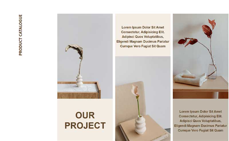 Website design showcasing modern layout